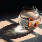 ヒメ日記 2025/11/28 10:17 投稿 まつり 熟女の風俗最終章 本厚木店