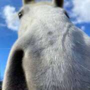 ヒメ日記 2025/11/28 10:52 投稿 まつり 熟女の風俗最終章 本厚木店