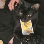 ヒメ日記 2025/11/29 23:26 投稿 まつり 熟女の風俗最終章 本厚木店