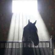 ヒメ日記 2025/11/30 12:04 投稿 まつり 熟女の風俗最終章 本厚木店