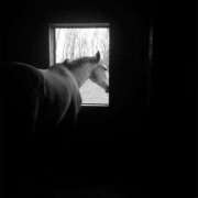 ヒメ日記 2025/11/30 12:22 投稿 まつり 熟女の風俗最終章 本厚木店