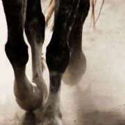 ヒメ日記 2025/11/30 12:27 投稿 まつり 熟女の風俗最終章 本厚木店