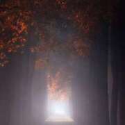 ヒメ日記 2025/11/30 16:41 投稿 まつり 熟女の風俗最終章 本厚木店