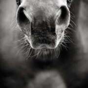 ヒメ日記 2025/11/30 23:51 投稿 まつり 熟女の風俗最終章 本厚木店