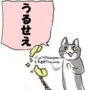 ヒメ日記 2025/12/03 22:41 投稿 まつり 熟女の風俗最終章 本厚木店