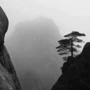 ヒメ日記 2025/12/06 13:26 投稿 まつり 熟女の風俗最終章 本厚木店