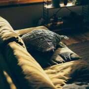 ヒメ日記 2025/12/07 17:02 投稿 まつり 熟女の風俗最終章 本厚木店