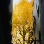 ヒメ日記 2025/12/10 15:37 投稿 まつり 熟女の風俗最終章 本厚木店