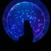 ヒメ日記 2025/12/12 17:51 投稿 まつり 熟女の風俗最終章 本厚木店