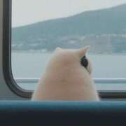 ヒメ日記 2025/12/13 11:41 投稿 まつり 熟女の風俗最終章 本厚木店