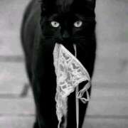 ヒメ日記 2025/12/16 10:12 投稿 まつり 熟女の風俗最終章 本厚木店