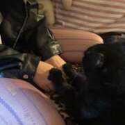 ヒメ日記 2025/12/22 20:52 投稿 まつり 熟女の風俗最終章 本厚木店