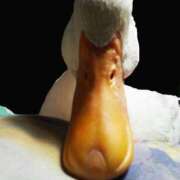 ヒメ日記 2025/12/22 21:12 投稿 まつり 熟女の風俗最終章 本厚木店