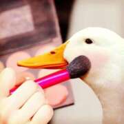 ヒメ日記 2025/12/22 22:51 投稿 まつり 熟女の風俗最終章 本厚木店