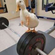 ヒメ日記 2025/12/23 23:01 投稿 まつり 熟女の風俗最終章 本厚木店