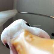 ヒメ日記 2025/12/24 01:02 投稿 まつり 熟女の風俗最終章 本厚木店