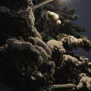 ヒメ日記 2025/12/25 01:21 投稿 まつり 熟女の風俗最終章 本厚木店