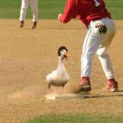 ヒメ日記 2025/12/25 08:51 投稿 まつり 熟女の風俗最終章 本厚木店