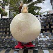 ヒメ日記 2025/12/25 09:29 投稿 まつり 熟女の風俗最終章 本厚木店