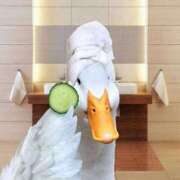 ヒメ日記 2025/12/25 22:21 投稿 まつり 熟女の風俗最終章 本厚木店