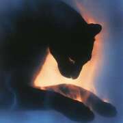 ヒメ日記 2025/12/28 00:11 投稿 まつり 熟女の風俗最終章 本厚木店