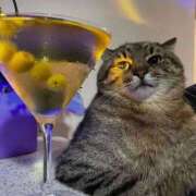 ヒメ日記 2025/12/28 00:17 投稿 まつり 熟女の風俗最終章 本厚木店