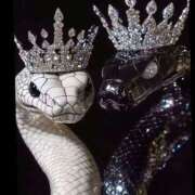 ヒメ日記 2025/12/28 02:41 投稿 まつり 熟女の風俗最終章 本厚木店