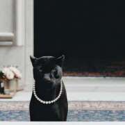 ヒメ日記 2025/12/28 19:02 投稿 まつり 熟女の風俗最終章 本厚木店