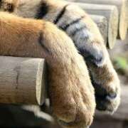 ヒメ日記 2025/12/28 19:32 投稿 まつり 熟女の風俗最終章 本厚木店