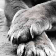 ヒメ日記 2025/12/28 20:38 投稿 まつり 熟女の風俗最終章 本厚木店