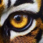 ヒメ日記 2025/12/28 20:51 投稿 まつり 熟女の風俗最終章 本厚木店