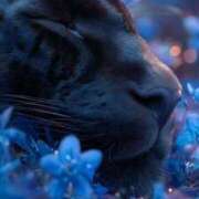 ヒメ日記 2025/12/28 22:11 投稿 まつり 熟女の風俗最終章 本厚木店