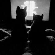 ヒメ日記 2025/12/29 19:51 投稿 まつり 熟女の風俗最終章 本厚木店