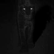 ヒメ日記 2025/12/29 20:51 投稿 まつり 熟女の風俗最終章 本厚木店