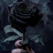 ヒメ日記 2025/12/30 18:46 投稿 まつり 熟女の風俗最終章 本厚木店