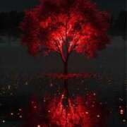 ヒメ日記 2025/12/30 18:55 投稿 まつり 熟女の風俗最終章 本厚木店