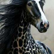 ヒメ日記 2026/01/04 09:31 投稿 まつり 熟女の風俗最終章 本厚木店