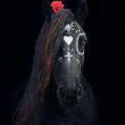 ヒメ日記 2026/01/04 20:31 投稿 まつり 熟女の風俗最終章 本厚木店