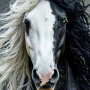 ヒメ日記 2026/01/04 21:41 投稿 まつり 熟女の風俗最終章 本厚木店