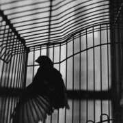 ヒメ日記 2026/01/07 02:21 投稿 まつり 熟女の風俗最終章 本厚木店