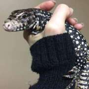 ヒメ日記 2026/01/07 03:11 投稿 まつり 熟女の風俗最終章 本厚木店