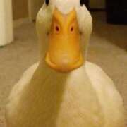 ヒメ日記 2026/01/08 14:11 投稿 まつり 熟女の風俗最終章 本厚木店