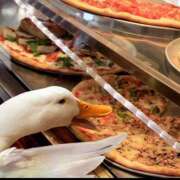 ヒメ日記 2026/01/08 14:21 投稿 まつり 熟女の風俗最終章 本厚木店