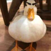 ヒメ日記 2026/01/08 18:07 投稿 まつり 熟女の風俗最終章 本厚木店