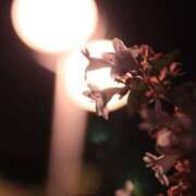 ヒメ日記 2026/01/08 19:07 投稿 まつり 熟女の風俗最終章 本厚木店