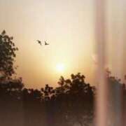 ヒメ日記 2026/01/09 08:41 投稿 まつり 熟女の風俗最終章 本厚木店