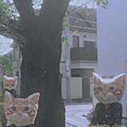 ヒメ日記 2026/01/09 12:21 投稿 まつり 熟女の風俗最終章 本厚木店