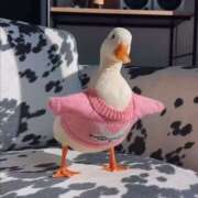 ヒメ日記 2026/01/09 13:21 投稿 まつり 熟女の風俗最終章 本厚木店