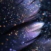 ヒメ日記 2026/01/10 20:12 投稿 まつり 熟女の風俗最終章 本厚木店