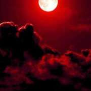 ヒメ日記 2026/01/12 03:31 投稿 まつり 熟女の風俗最終章 本厚木店